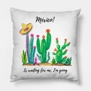 Mexico wonderfull Pillow