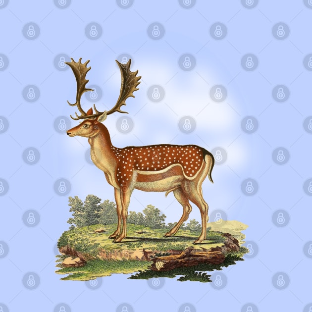 Fallow Deer Nature Illustration by Biophilia