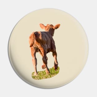 Frisky young calf Pin