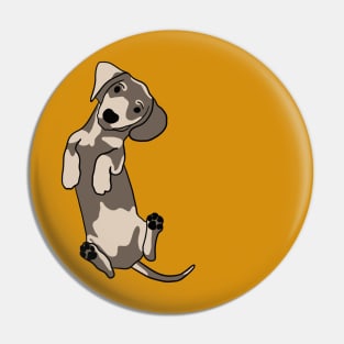 Happy dachshund illustration Pin