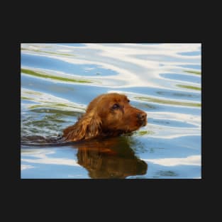 American Cocker Spaniel T-Shirt