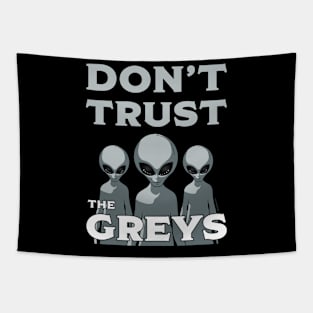 Don't trust the greys Tapestry