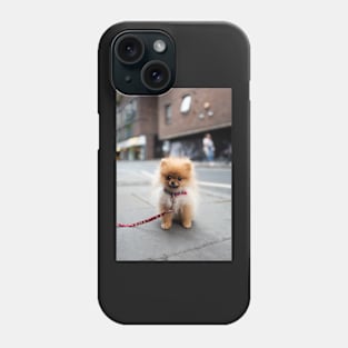 Cute Pomeranian Puppy Phone Case