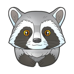 little cute raccoon T-Shirt