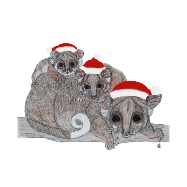 Ringtails and red hats - Ringtailed Possum - T-Shirt | TeePublic