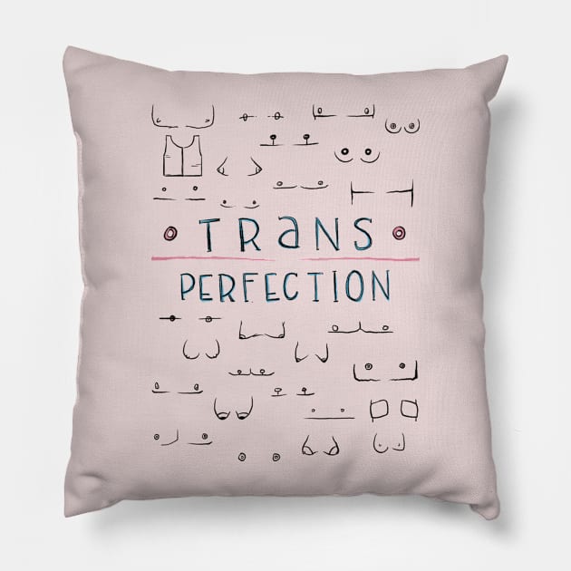 Trans Perfection Pillow by Beansiekins
