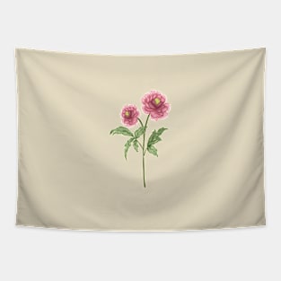 Pink Peony 1 Botanical Tapestry