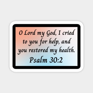 Bible Verse Psalm 30:2 Magnet