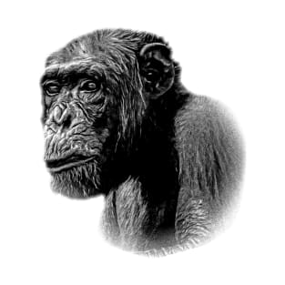 Chimpanzee T-Shirt