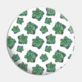 Succulent Pattern on White Background Pin