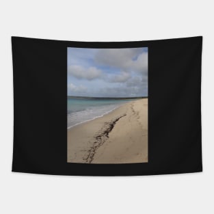 Antechamber Bay Tapestry