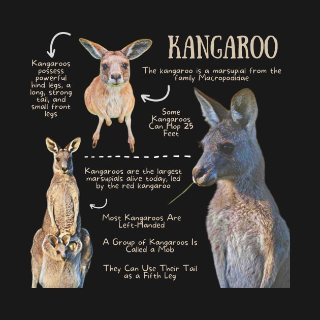 Animal Facts - Kangaroo by Animal Facts and Trivias