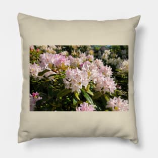 Rhododendron Macro Pillow