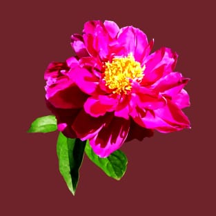 Magenta Peony in Sunshine T-Shirt