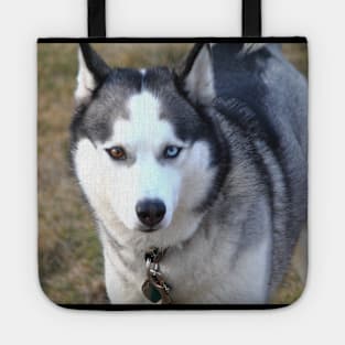 Husky love Tote