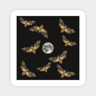 Death's Head Moth and Moons Black Magnet