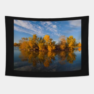 Gold Reflection Tapestry