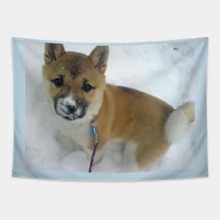 shiba inu puppy third Tapestry