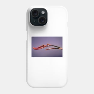 Close-up of crocosmia buds Phone Case