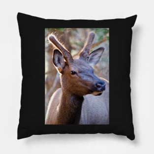 Yearling Pillow