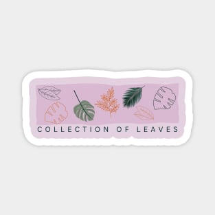 Collection of  leaves. Magnet