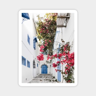 Alley with blue door and pink blossom in Tunisia Magnet