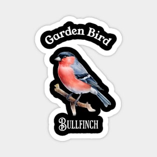 Garden Bird BullFinch Magnet