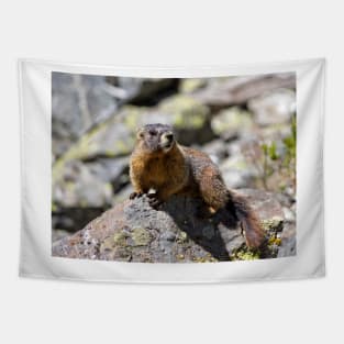 Marmot Tapestry