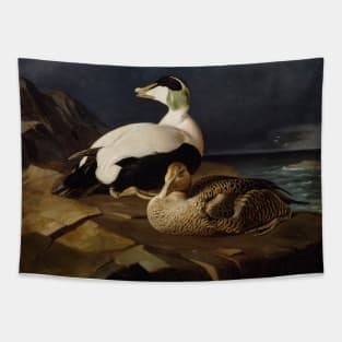 Pair Of Common Eiders On A Rock by Ferdinand von Wright Tapestry