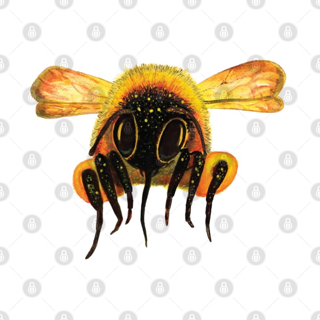 Bumble Bee Face Dusted With Pollen by Julia Doria Illustration