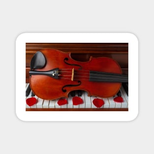 Violin On Piano Keys With Rose Petals Magnet