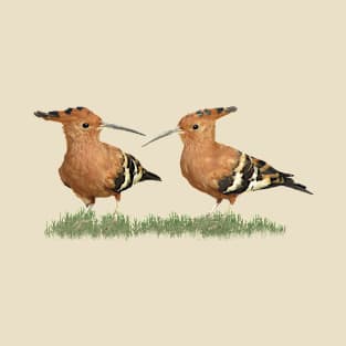 Hoopoe a bird in Kenya / Africa T-Shirt