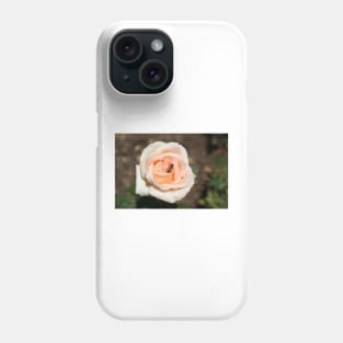 Pink rose Phone Case