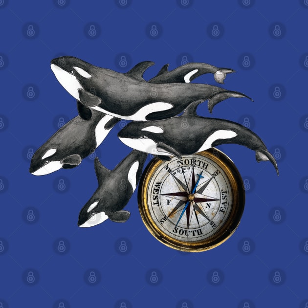 Orca whales pod and compass Marine Nautical Watercolor Art by Seven Sirens Studios