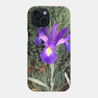 Purple and Yellow Iris Phone Case