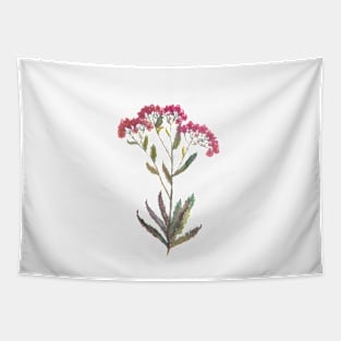 Achillea Tapestry