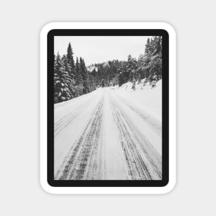 White Winter in Scandinavia - Mountain Road Through Fir Tree Forest Magnet