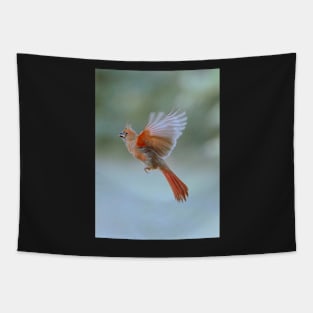 Cardinal in flight Tapestry