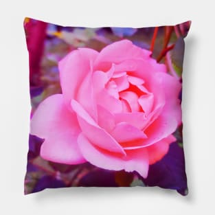 Pink Rose Fantasy Pillow