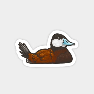 Ruddy Duck Magnet