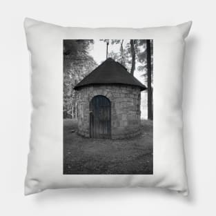 Blue Door Pillow