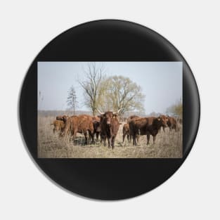 Bovine Animals Pin