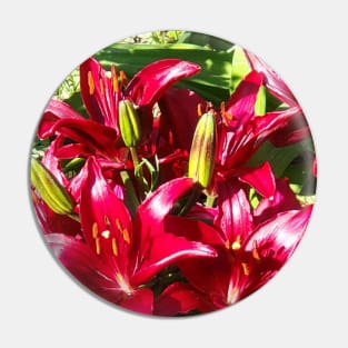 Asiatic Lilies Pin