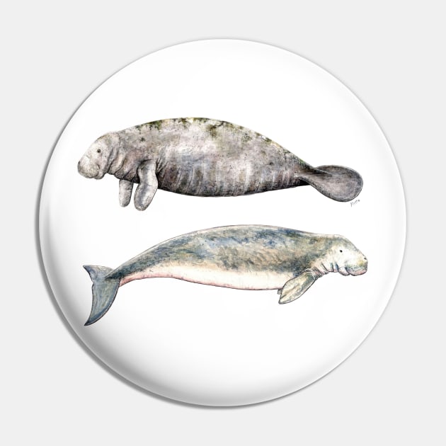 Sea cows: manatee and dugong Pin by chloeyzoard