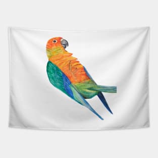 Sun parakeet Print, Bird Prints, Parrot Poster Bresil Animal Wall Art Tropical Bird Art Bird Print Aratinga Art Tapestry