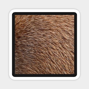 Animal Fur Magnet