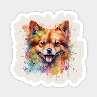 Pomeranian Bright Watercolor Magnet