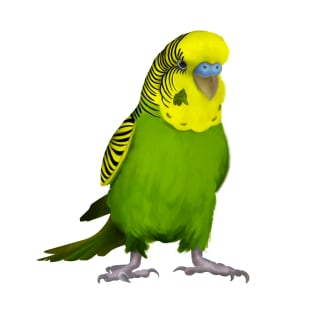 Australian Budgie/Green/Yellow/Parakeet/Budgerigar/Bird T-Shirt