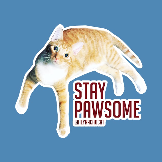 Stay Pawsome by VeryBear