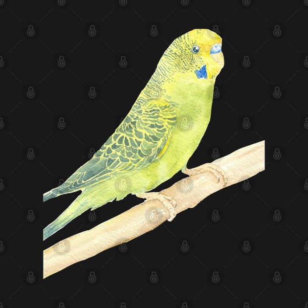 green and yellow budgie watercolor portrait by Oranjade0122